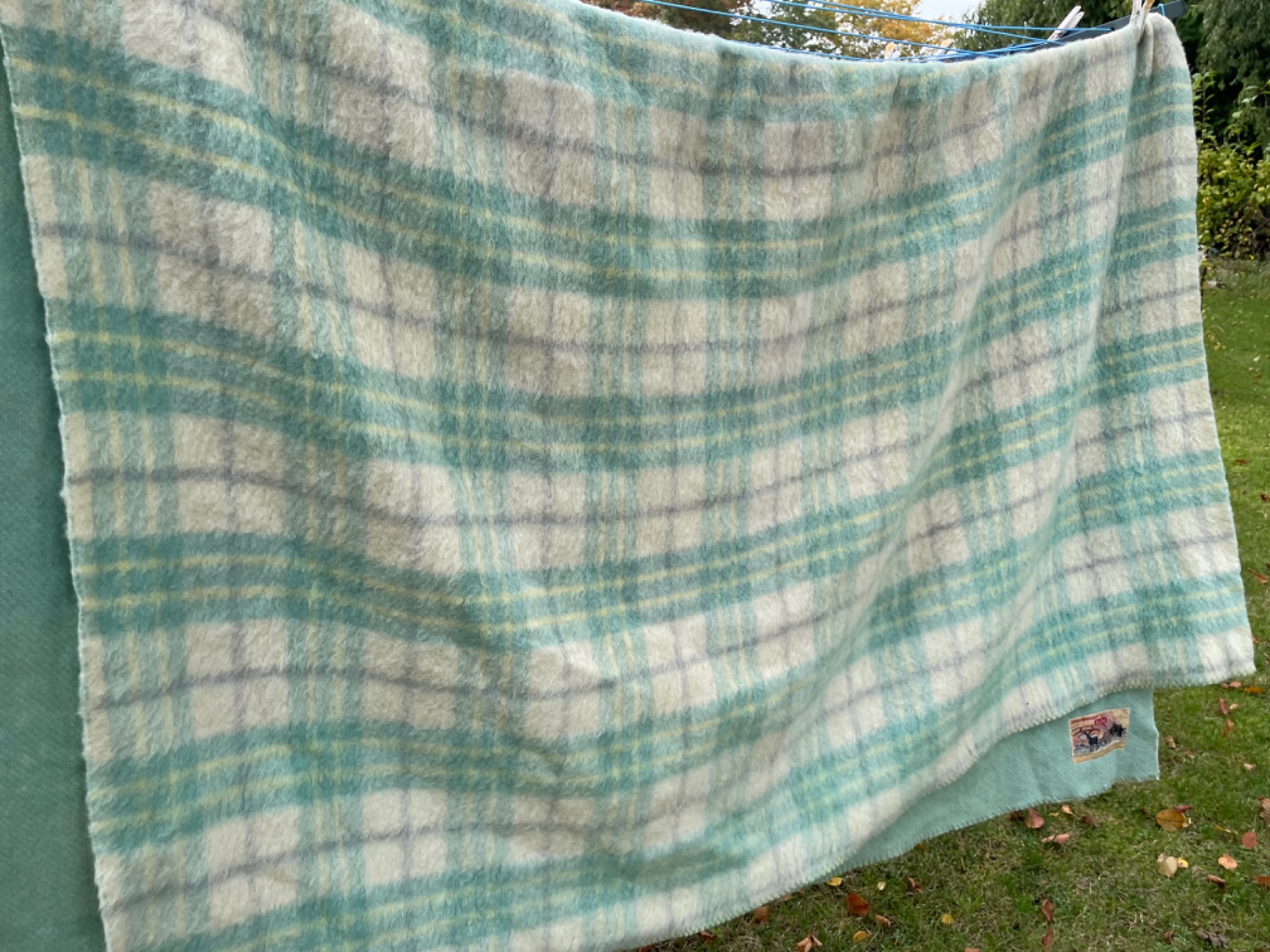 Overleven Uitvoerder dosis Wollen deken pastelgroen geruit - Kleden en dekens - Plimmies