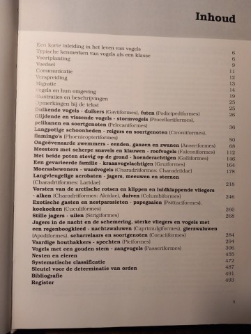 16774352054591792623970951126087