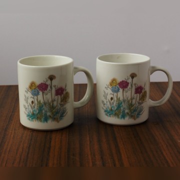 192565d0 426a 4e1d 8ea2 eaebc684083c