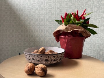 56693a81 9f81 4a59 afe7 bf809b26c3ab