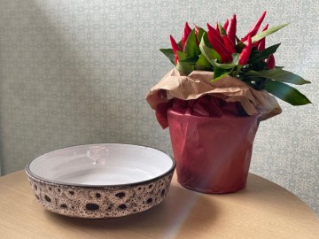 7a4eaaaf 607d 438c b003 a865bf6d977c