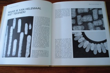 Blikbloempotmok snacktoren 041