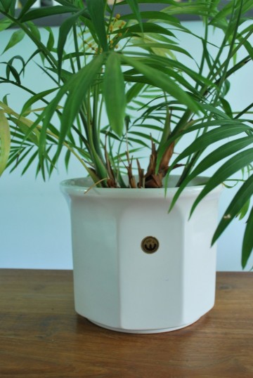 Bloempot plastic bakje 001