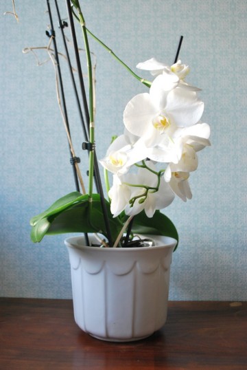 Bloempot schoenenrek vaas asbak 001