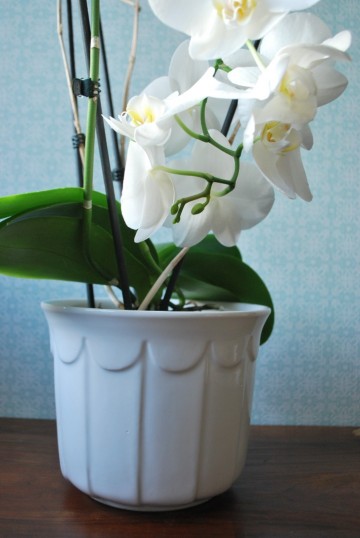 Bloempot schoenenrek vaas asbak 003