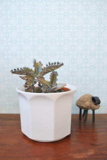 Bloempot schoenenrek vaas asbak 006