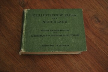 Boek steef citruspersbroodtrommelarcopal schaal 057