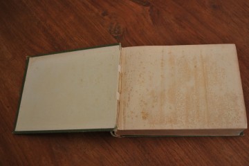 Boek steef citruspersbroodtrommelarcopal schaal 058