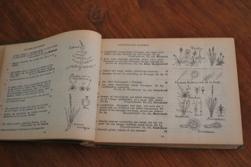 Boek steef citruspersbroodtrommelarcopal schaal 060