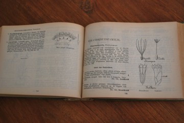 Boek steef citruspersbroodtrommelarcopal schaal 061