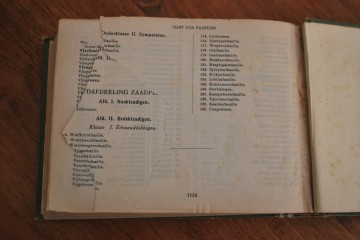 Boek steef citruspersbroodtrommelarcopal schaal 063