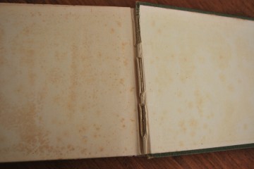 Boek steef citruspersbroodtrommelarcopal schaal 064