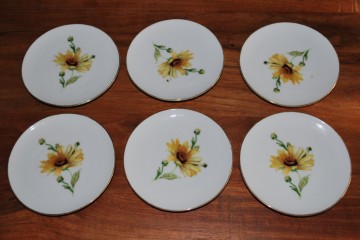 Gebakbordjes tafelkleed 002