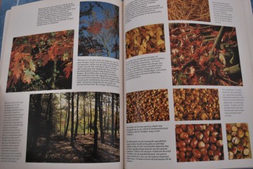 Gordijnenmokkenboekjes 036