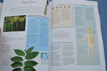 Gordijnenmokkenboekjes 043