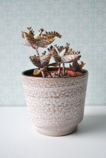 Handdoekvaas warmhouder 009