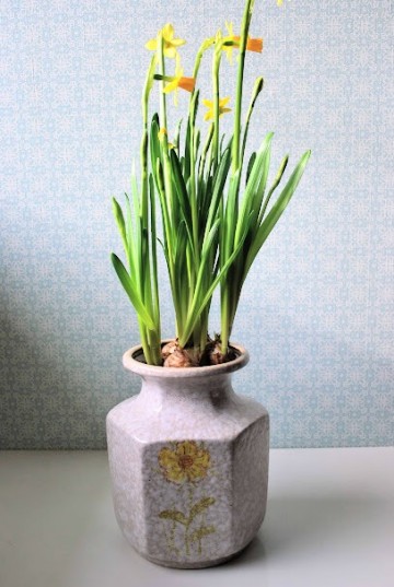 Koffiesetvaas bloempot tasje 006