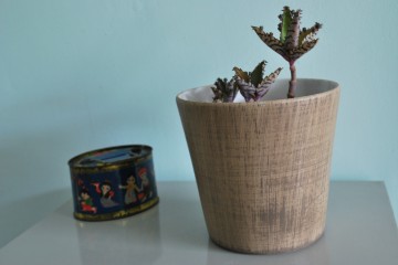 Onderzettersbloemotkandelaarschaal 005