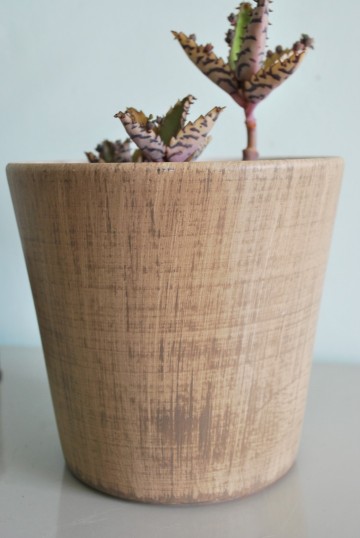 Onderzettersbloemotkandelaarschaal 006