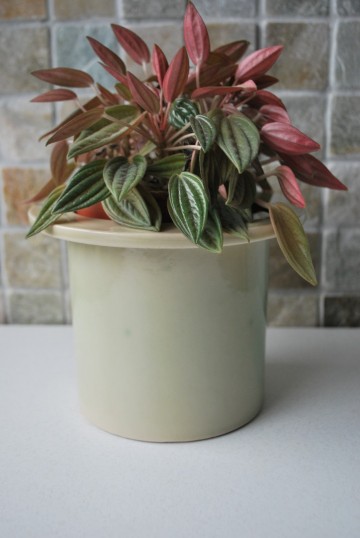 Pannenlappen bloempot pindaset 026