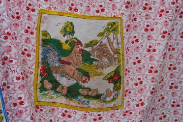 Schortpannenlappenpeper en zout 005