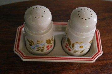 Schortpannenlappenpeper en zout 012