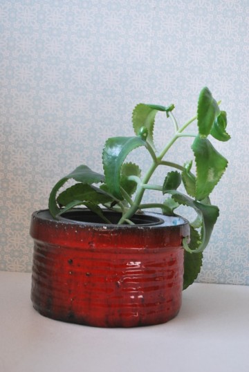 Soepkommemtheepotschoenenrek bloempotbestekbak 027