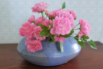 Tafelkleedwaxinesara blik 021