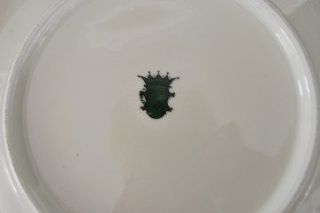 Theedoekbordenglazen potje 004