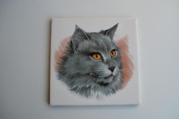 Tegeltje Kat