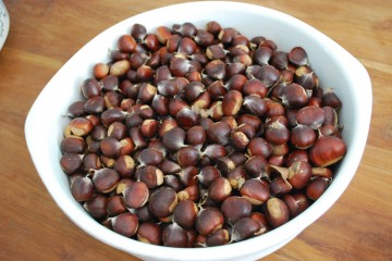 Theepot bloempot radio kan bus 031