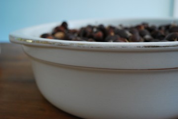 Theepot bloempot radio kan bus 032