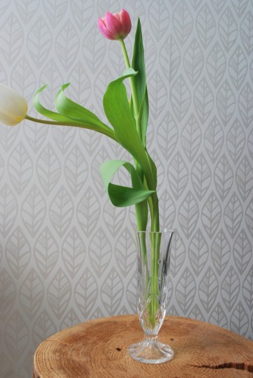 Vaasbordkeukenopbergzak 003